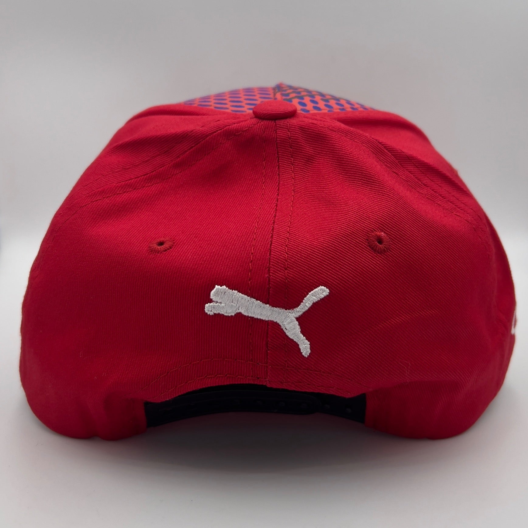 Max Verstappen RedBull Racing Cap