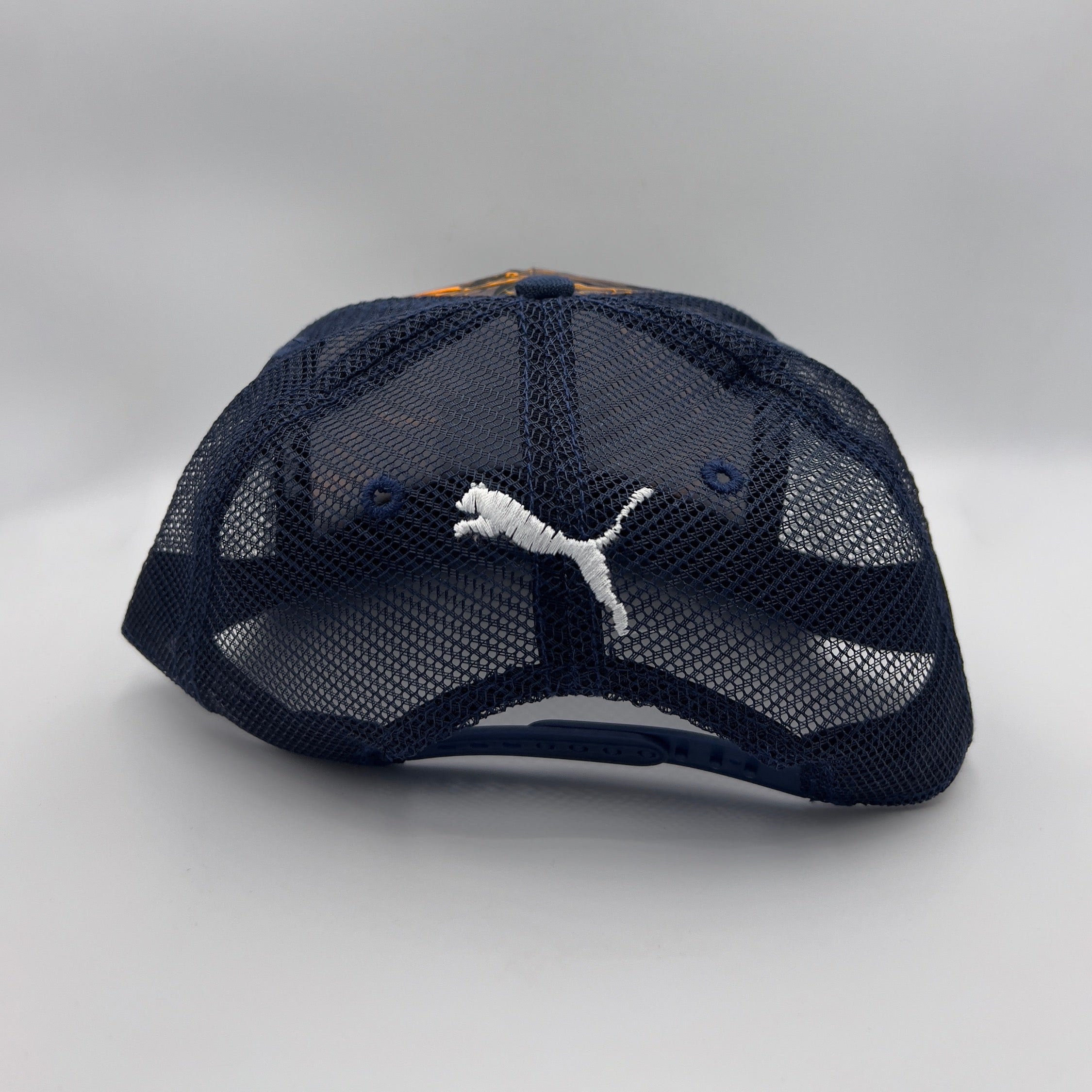 RedBull Racing Cap