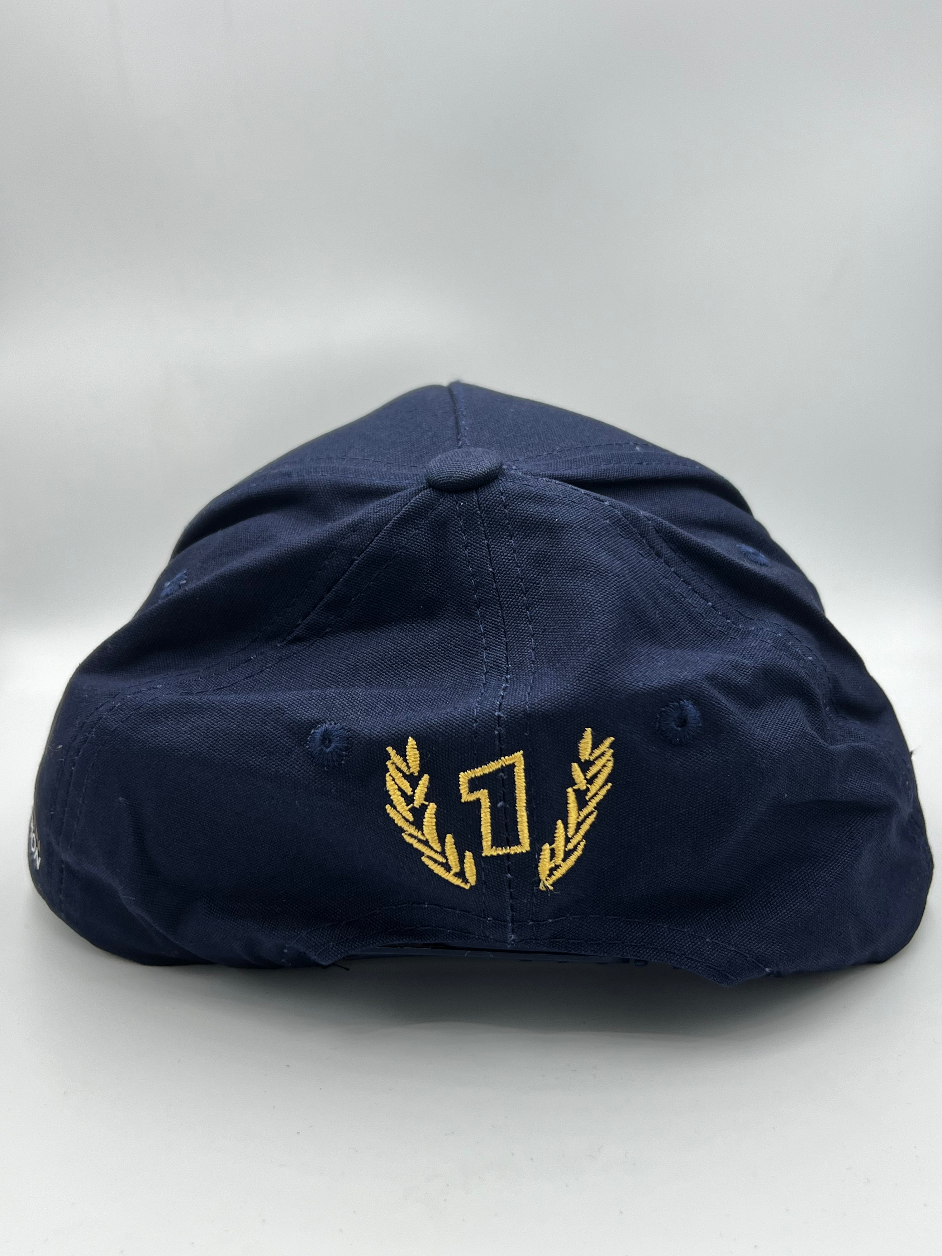 Max Verstappen 2021 World Champion Cap