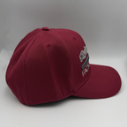 Troy Lee Designs Cap