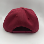 Troy Lee Designs Cap